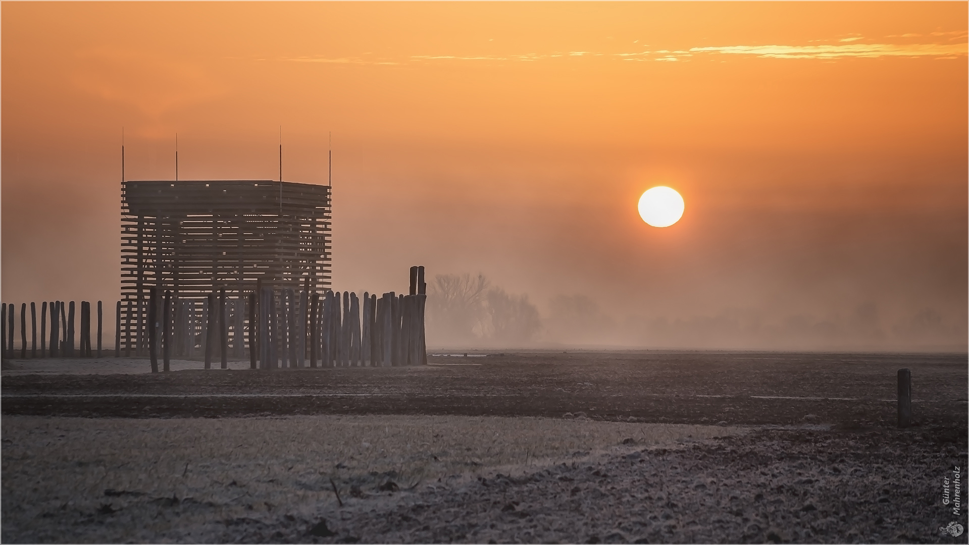 Morgennebel am Ringheiligtum