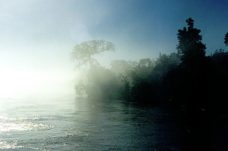 Morgennebel am Rio Yata,Beni Bolivien