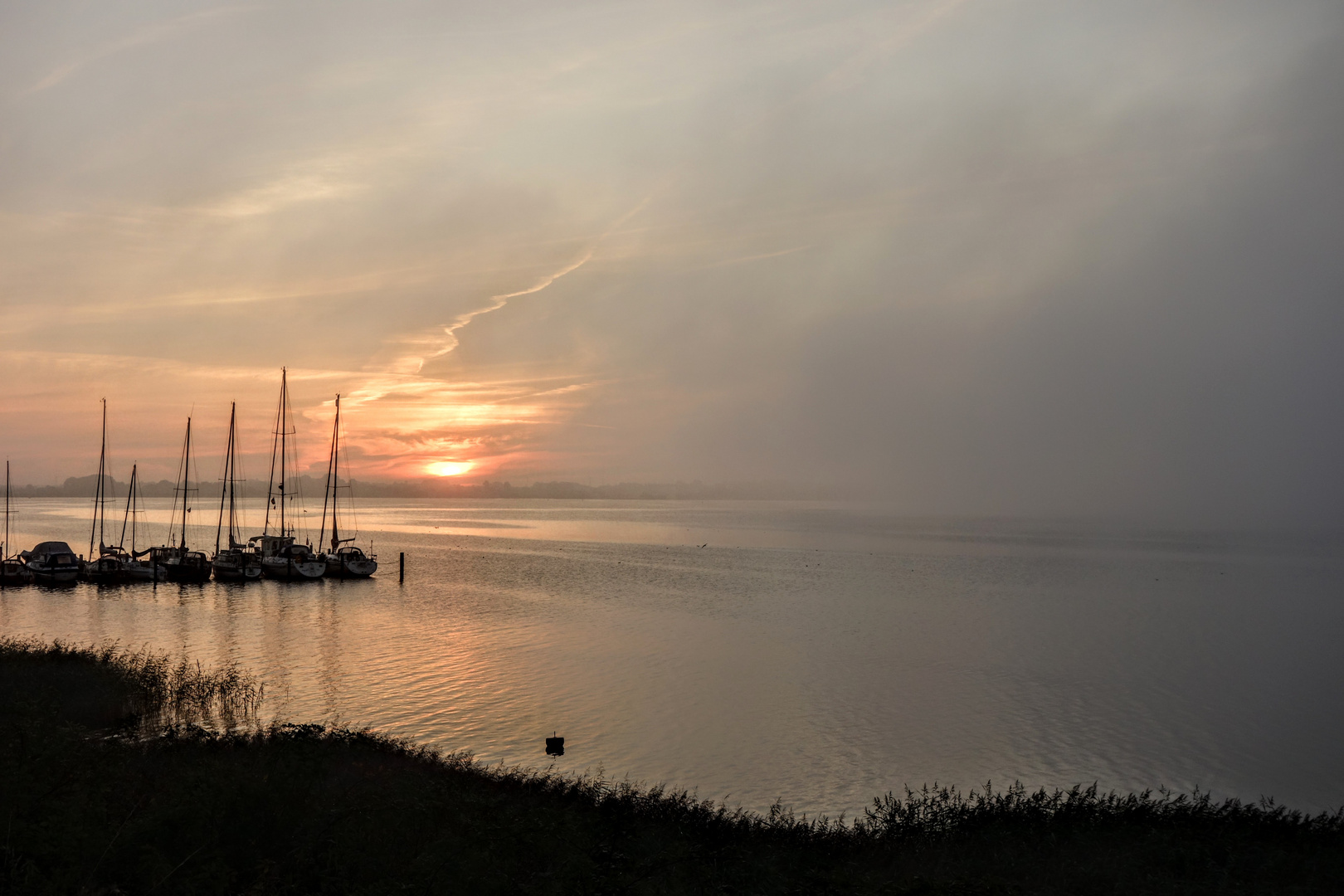 Morgennebel am Schleiufer