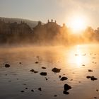 Morgennebel am Schloss Pillnitz