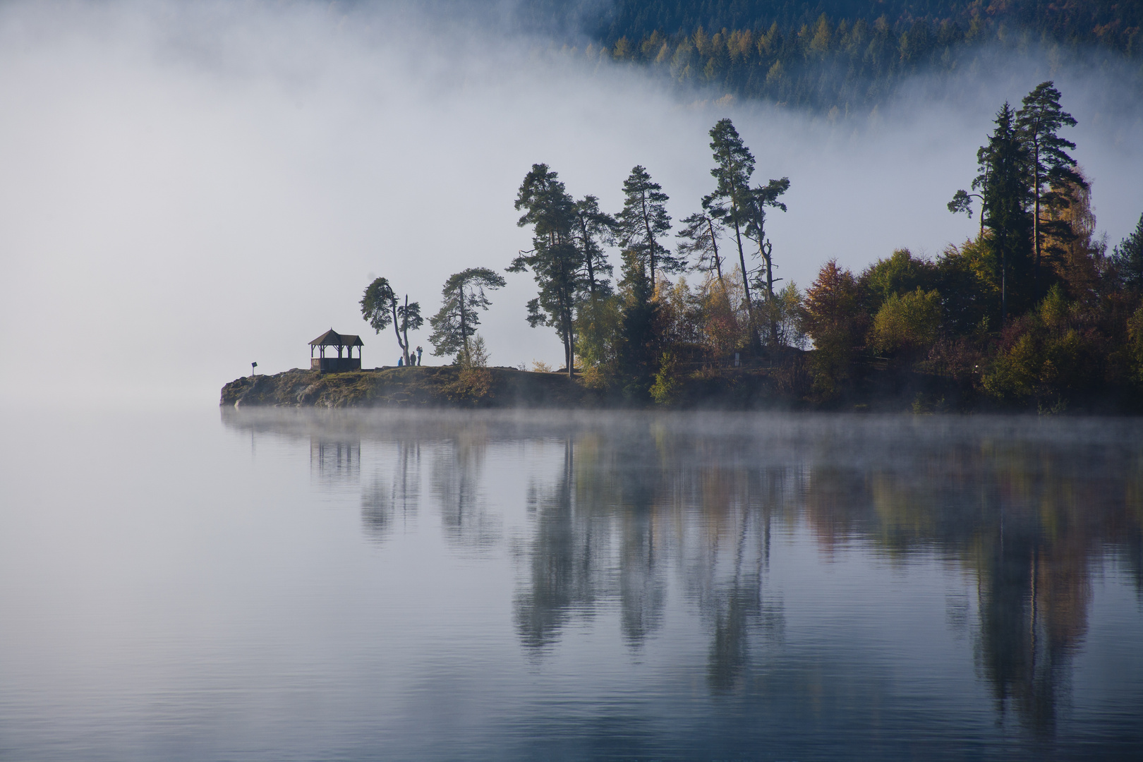 Morgennebel am Schluchsee