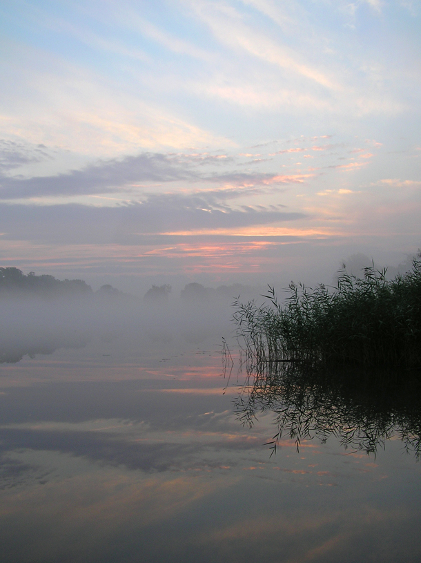 Morgennebel am See