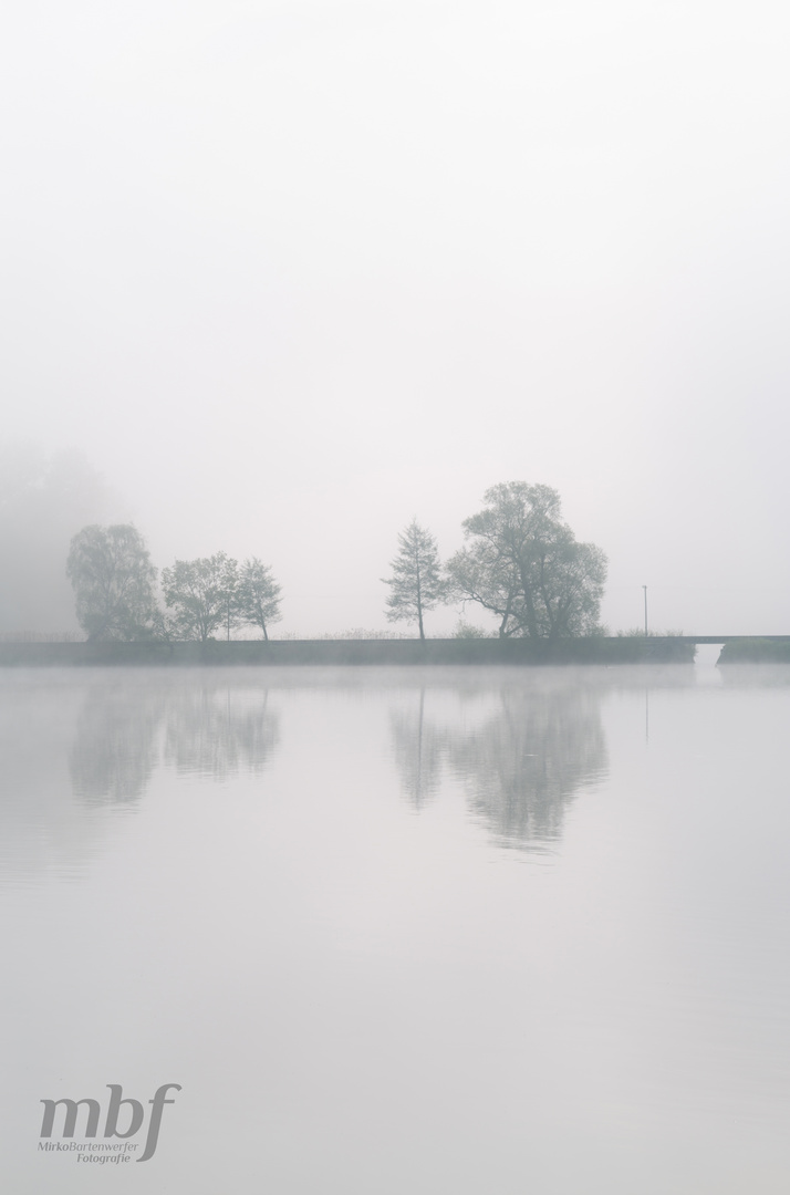 Morgennebel am See