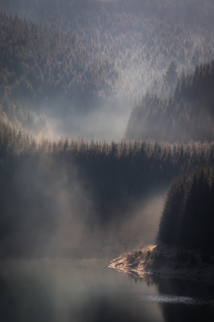 Morgennebel am See