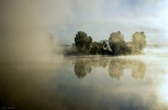 Morgennebel am See
