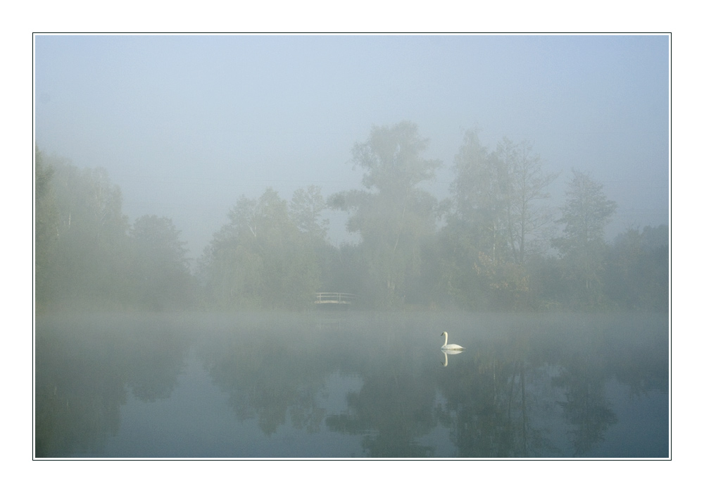 Morgennebel am See