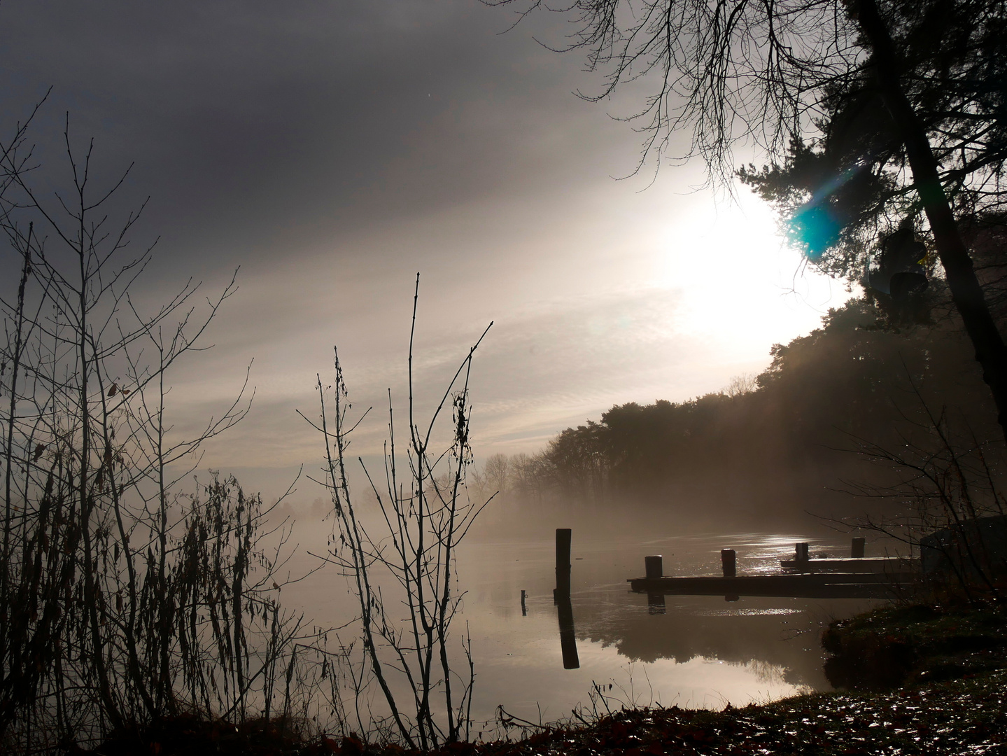 Morgennebel am See