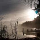 Morgennebel am See