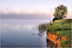 Morgennebel am See..