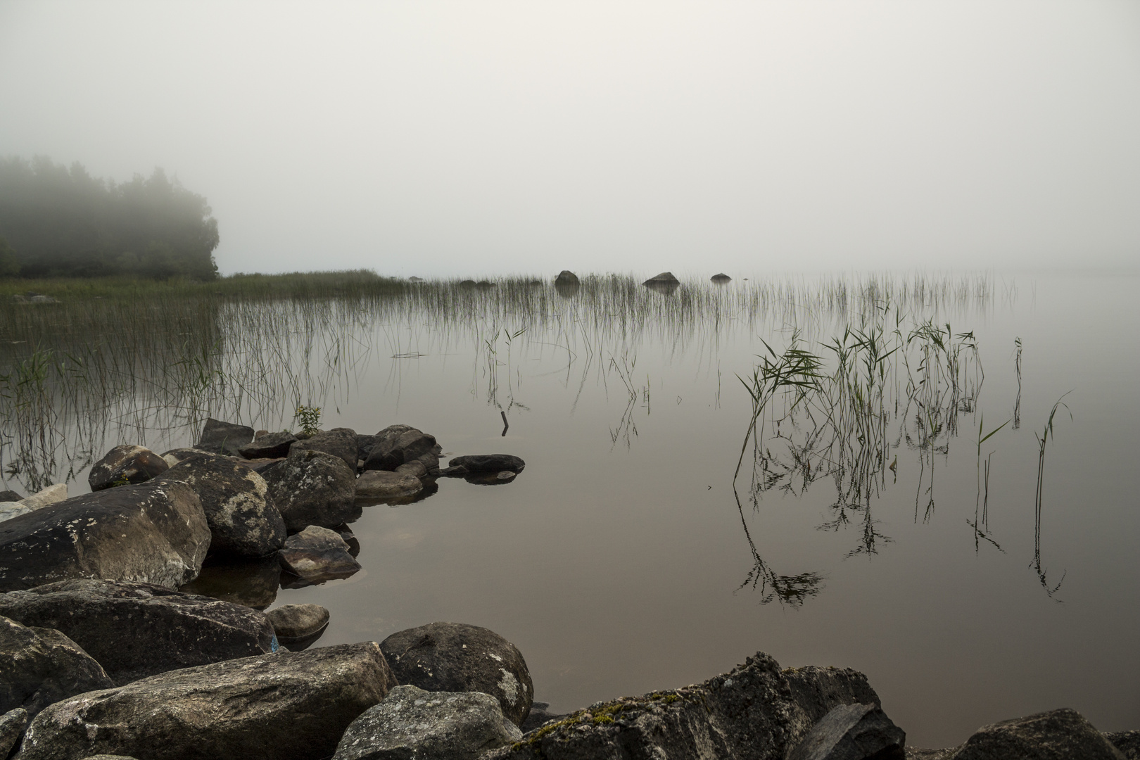 Morgennebel am See