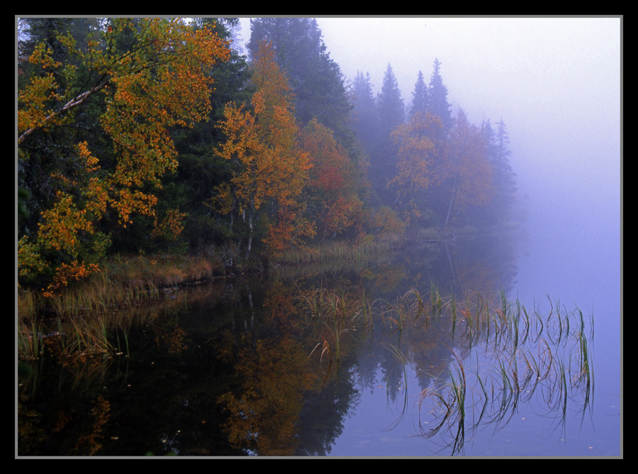 Morgennebel am See