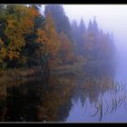 Morgennebel am See