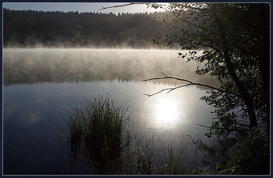 Morgennebel am See