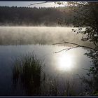 Morgennebel am See