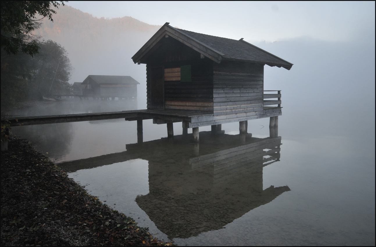 Morgennebel am See