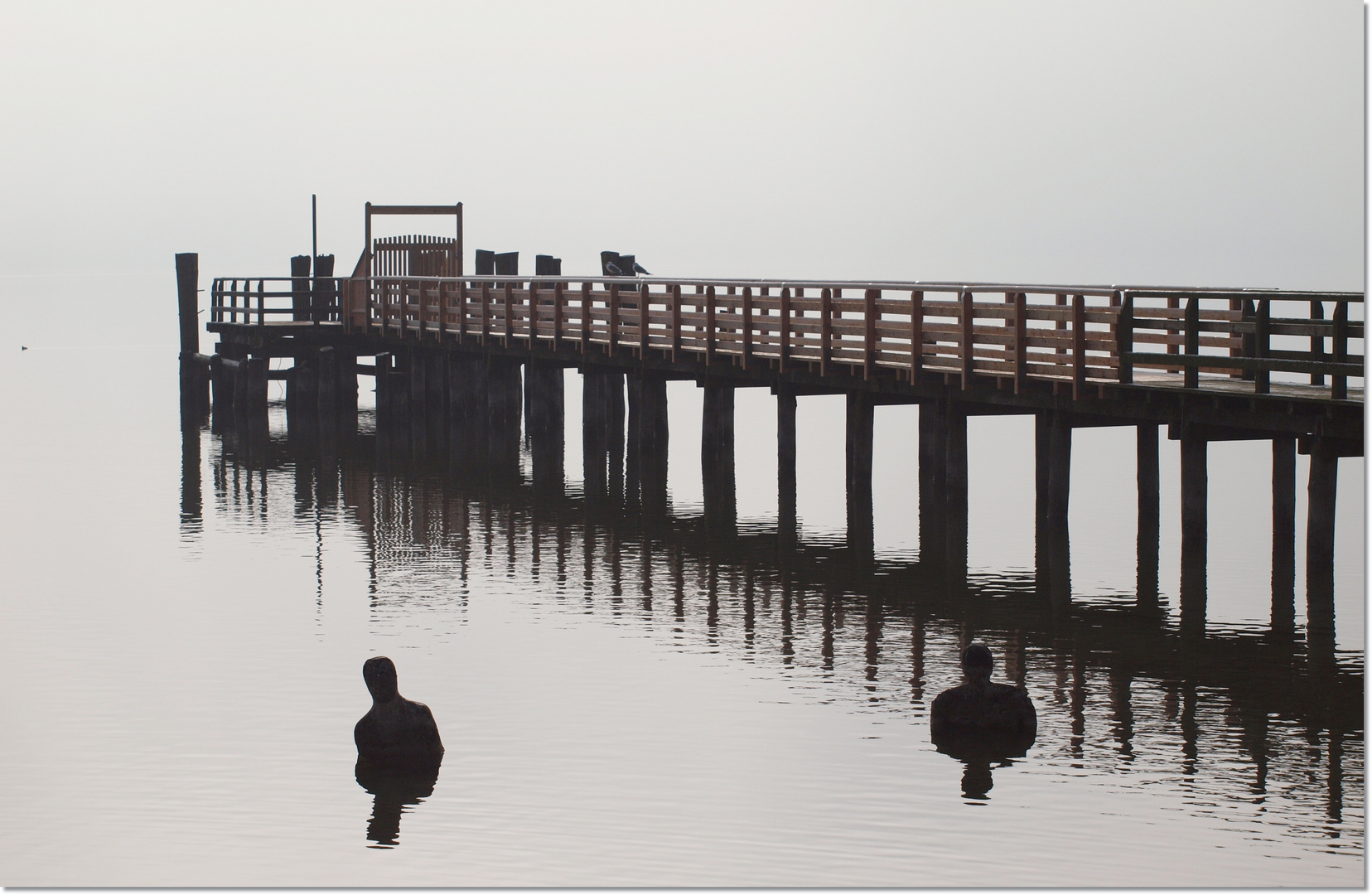 Morgennebel am See