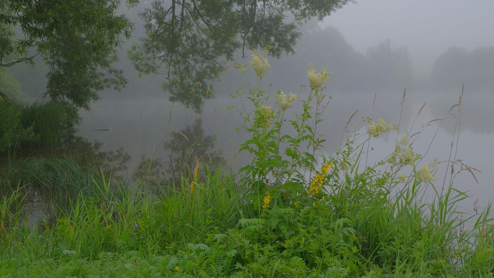 Morgennebel am See (niebla de la mañana en el lago)