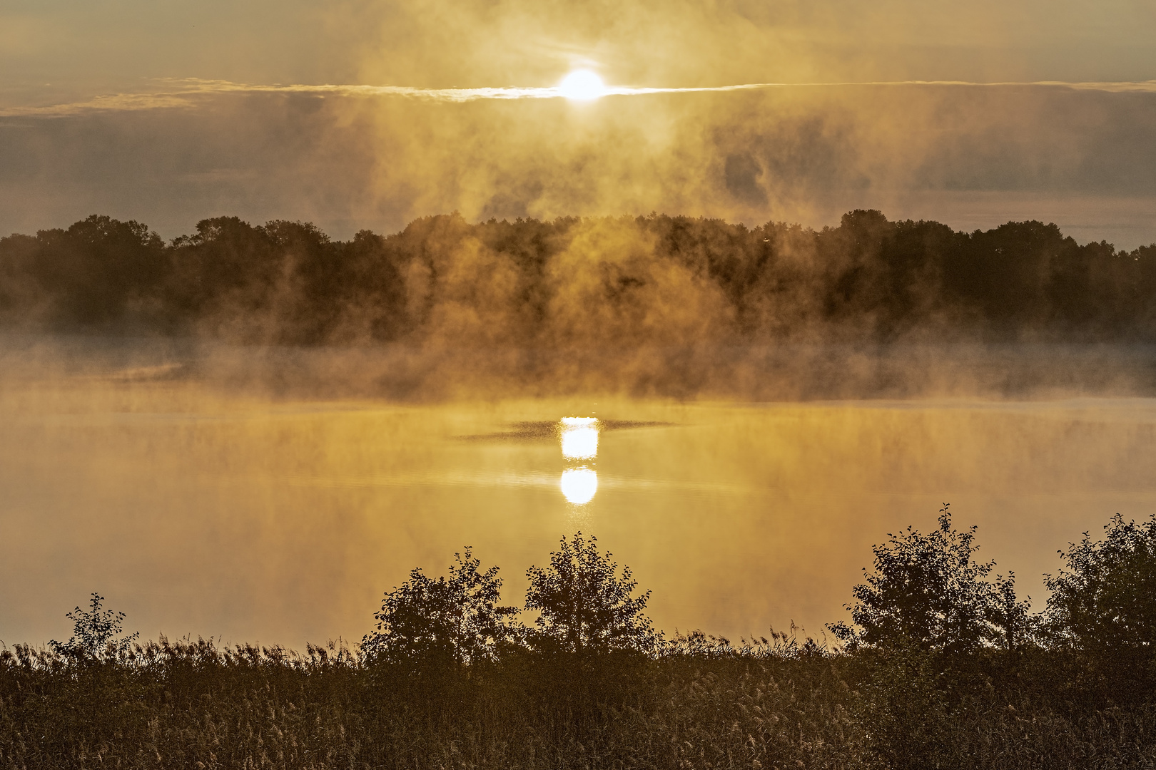 Morgennebel-am-SeeSee