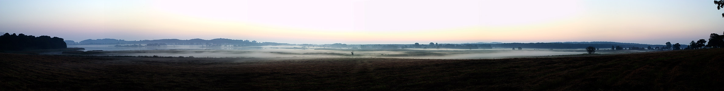 Morgennebel am Selliner See (Rügen)