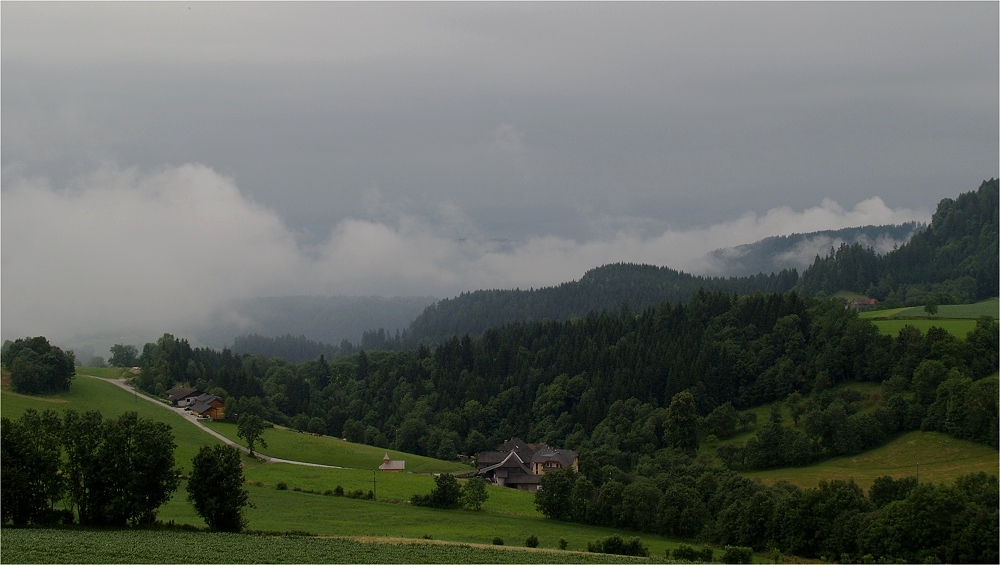 Morgennebel am Sörgerberg