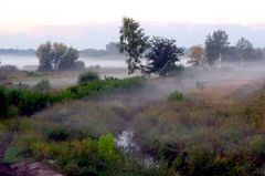 morgennebel am spittelwasser(reload)