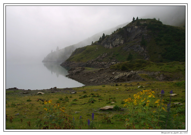 Morgennebel am Spuller See im Lechquellgebirge