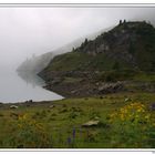 Morgennebel am Spuller See im Lechquellgebirge