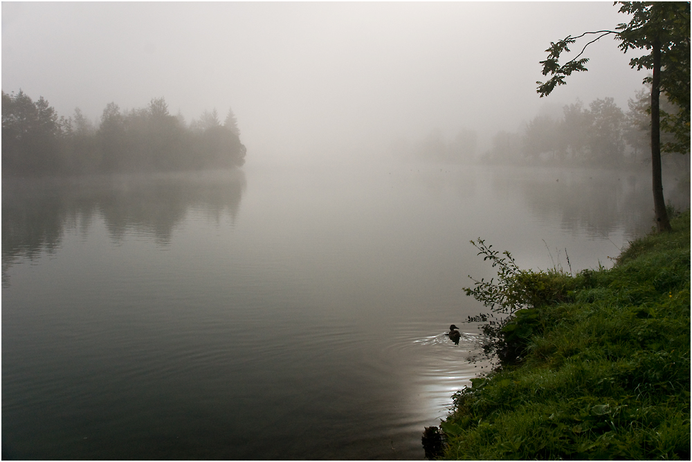 Morgennebel am Stausee