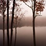 Morgennebel am Stone Mountain Lake