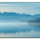 Morgennebel am Tachinger See