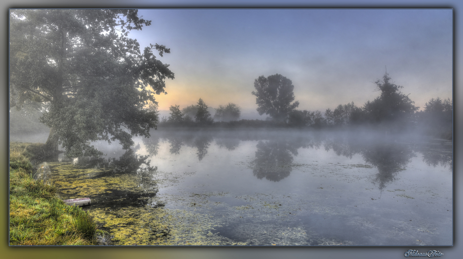 Morgennebel am Teich