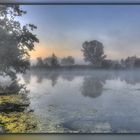 Morgennebel am Teich