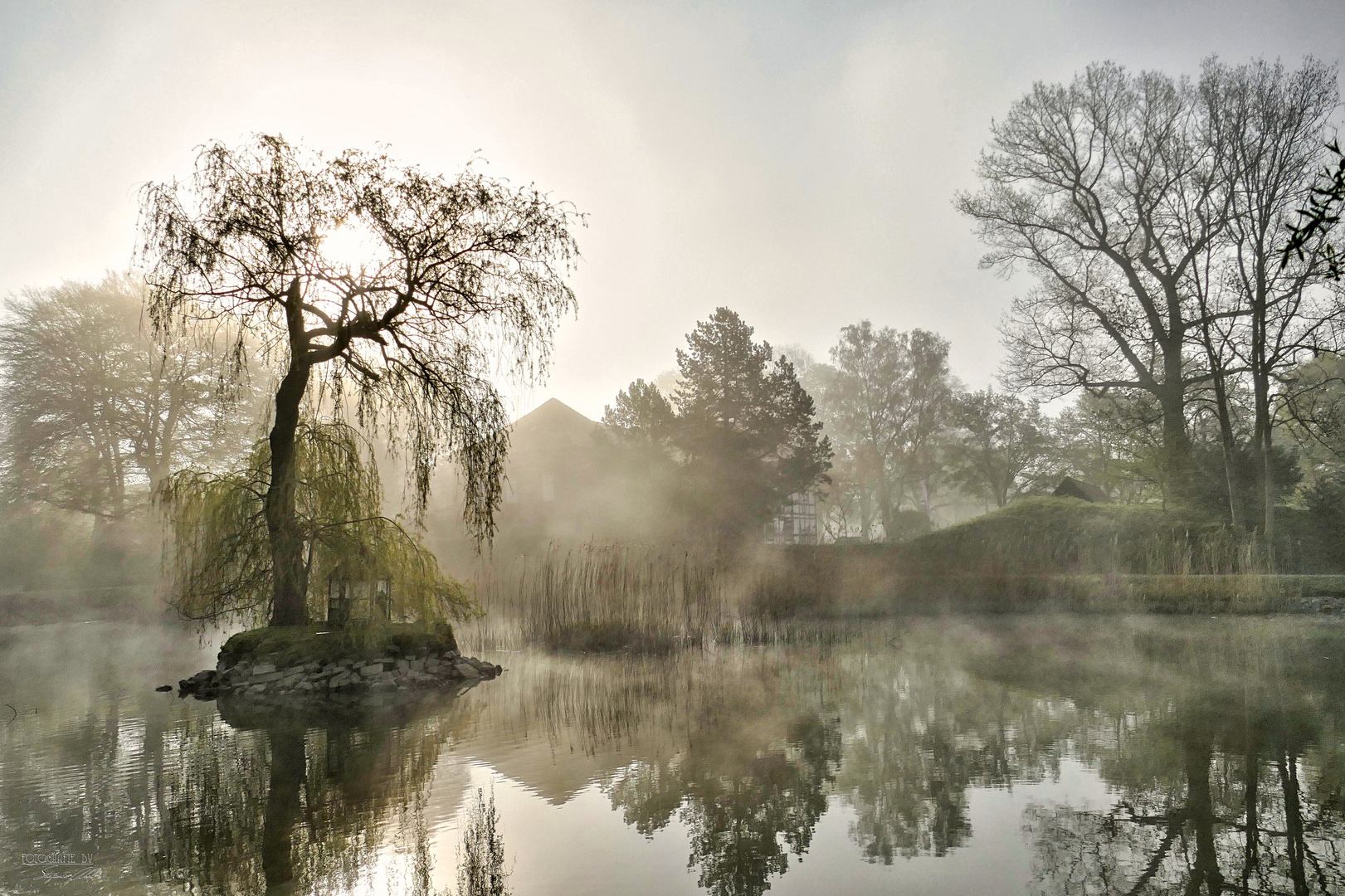 Morgennebel am Teich.