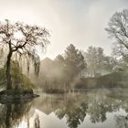 Morgennebel am Teich.