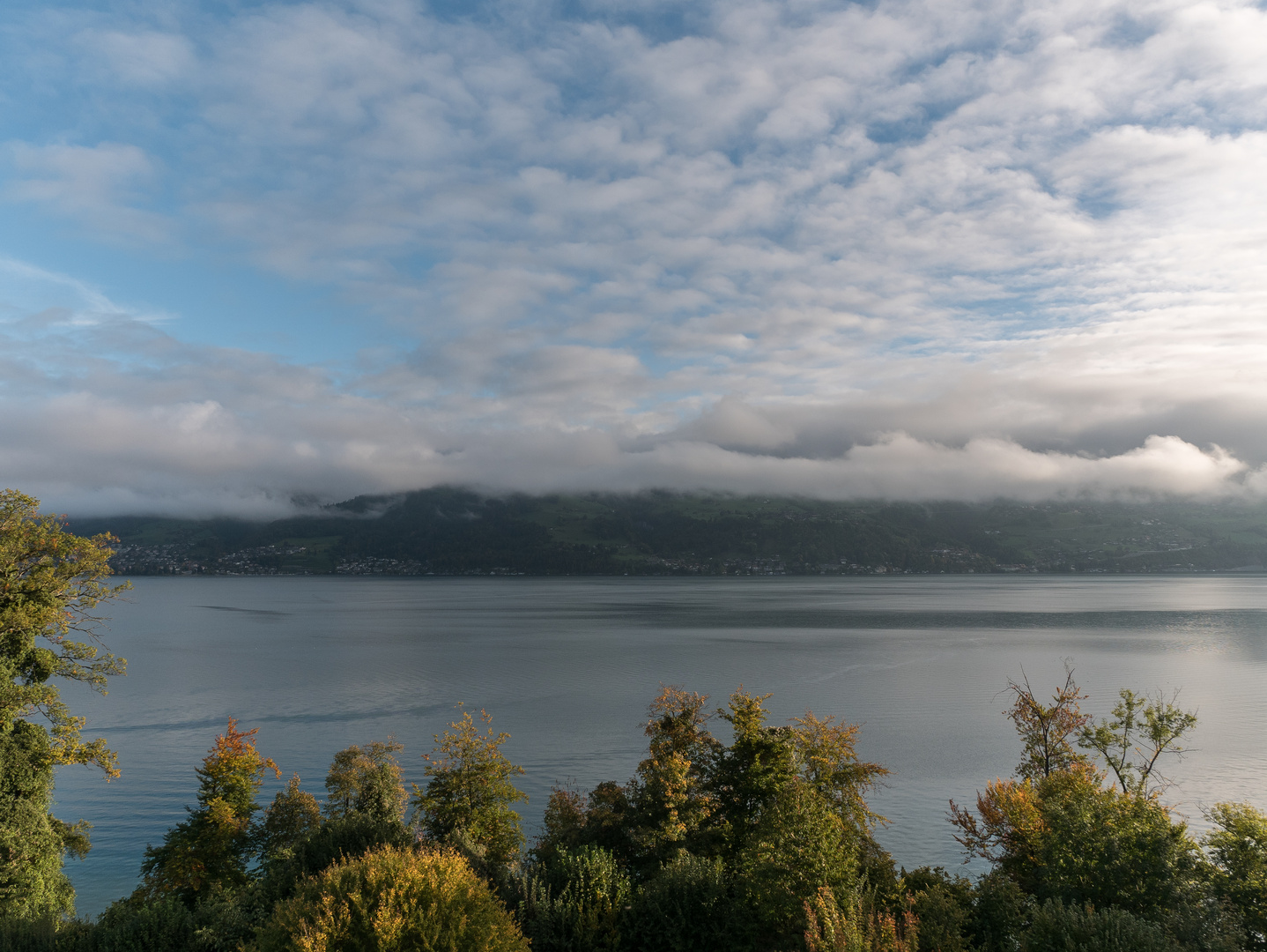 Morgennebel am Thunersee