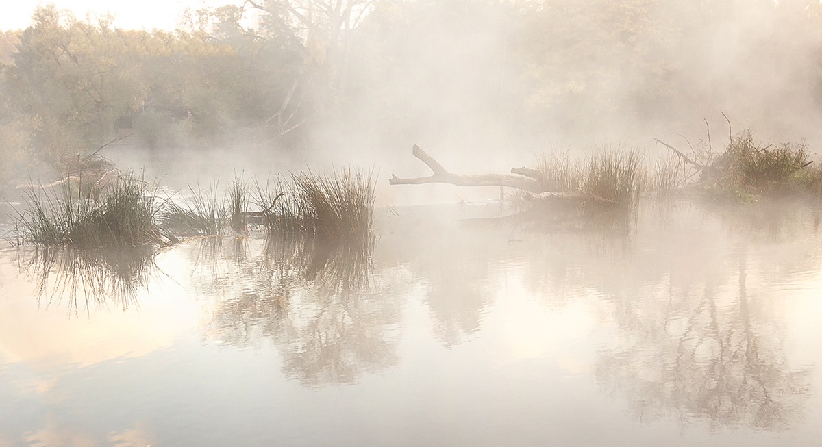 Morgennebel am Wehr