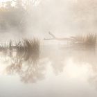 Morgennebel am Wehr