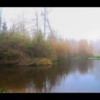 Morgennebel am Weiher.