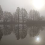 Morgennebel am Weiher mit Spiegelung