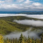 Morgennebel am Yukon