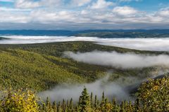 Morgennebel am Yukon