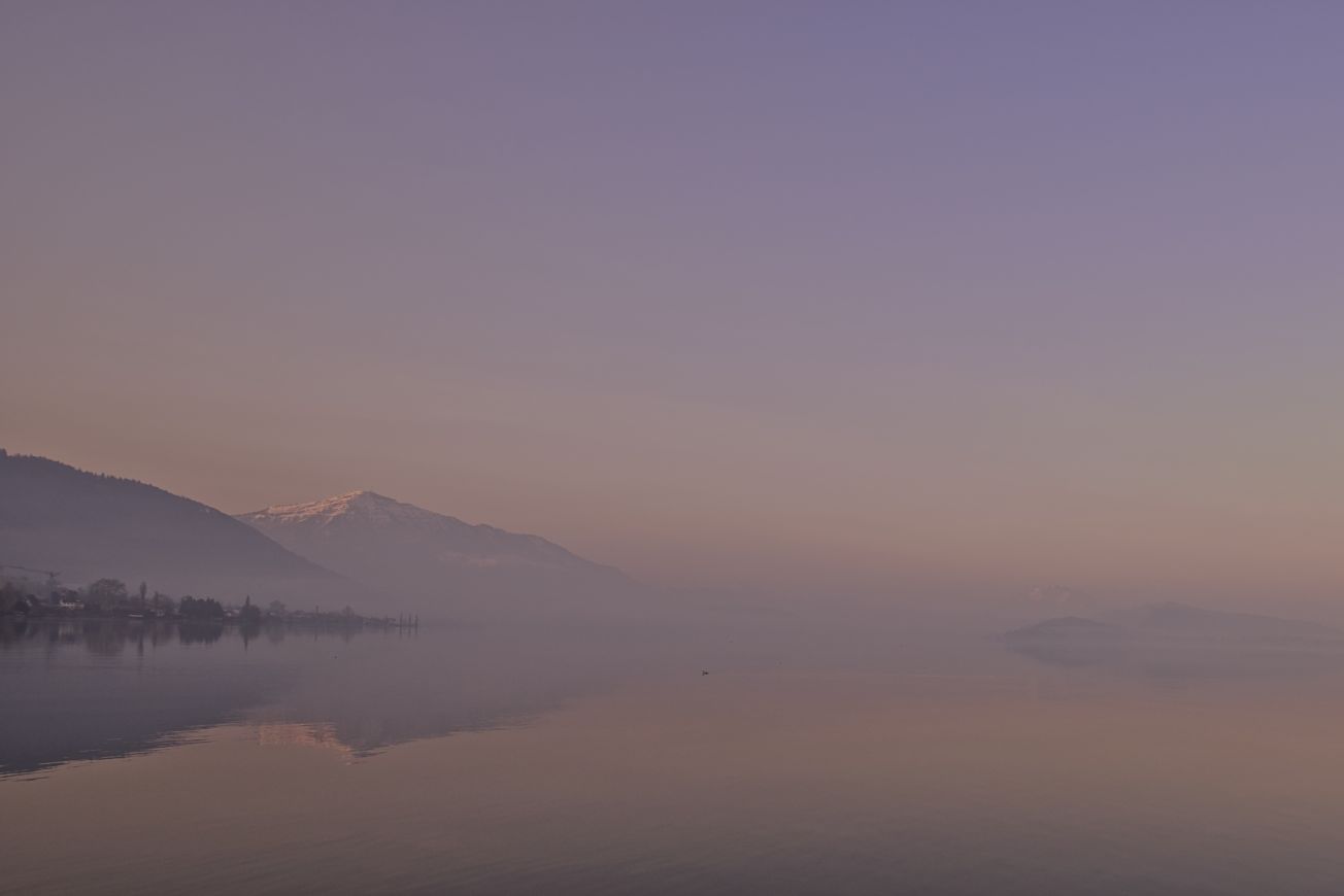 Morgennebel am Zugersee