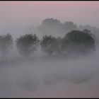 Morgennebel an den Ruhrwiesen