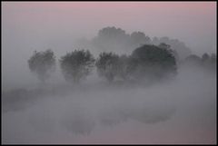 Morgennebel an den Ruhrwiesen