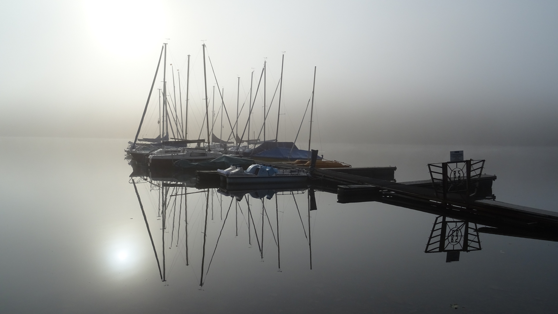 Morgennebel an der Bevertalsperre