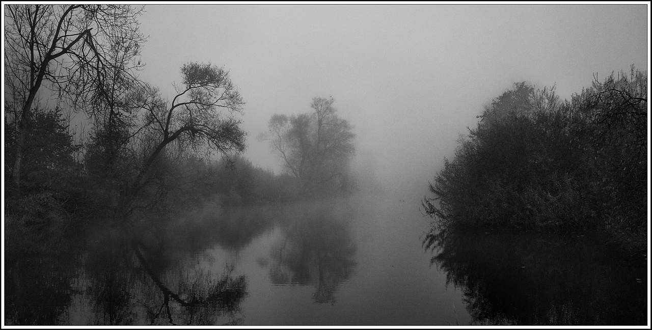 Morgennebel an der Donau