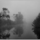 Morgennebel an der Donau