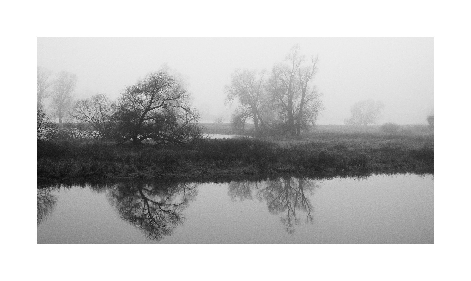 Morgennebel an der Donau...