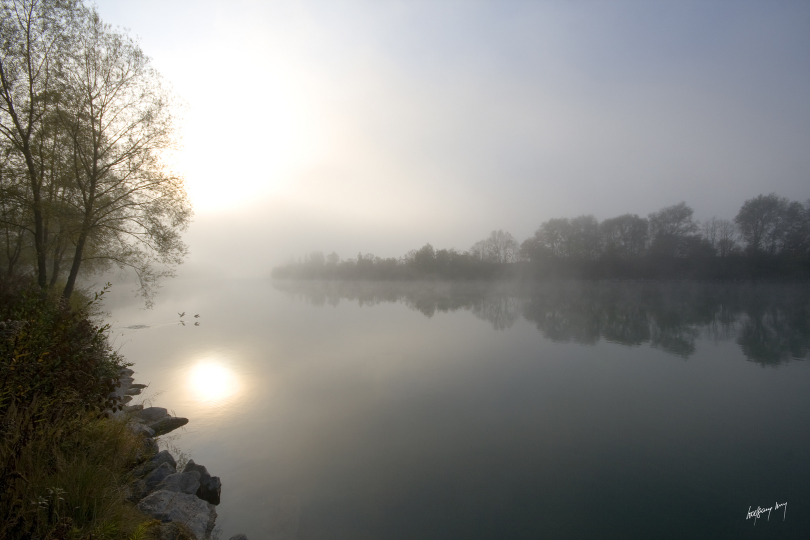 Morgennebel an der Drau