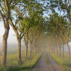 Morgennebel an der E45 bei Vänersborg-Schweden